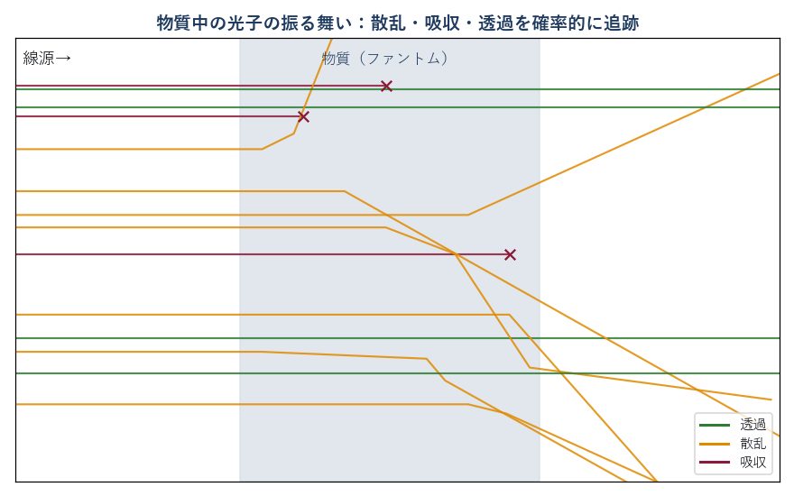 物質中の光子を1個ずつ追跡した図。透過・散乱・吸収がそれぞれ色分けされている