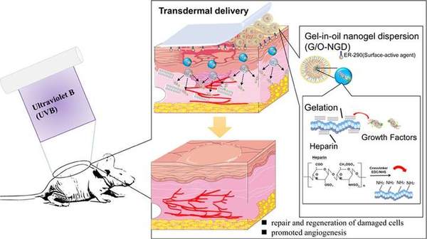 Prevention and repair of skin damage via transdermal delivery